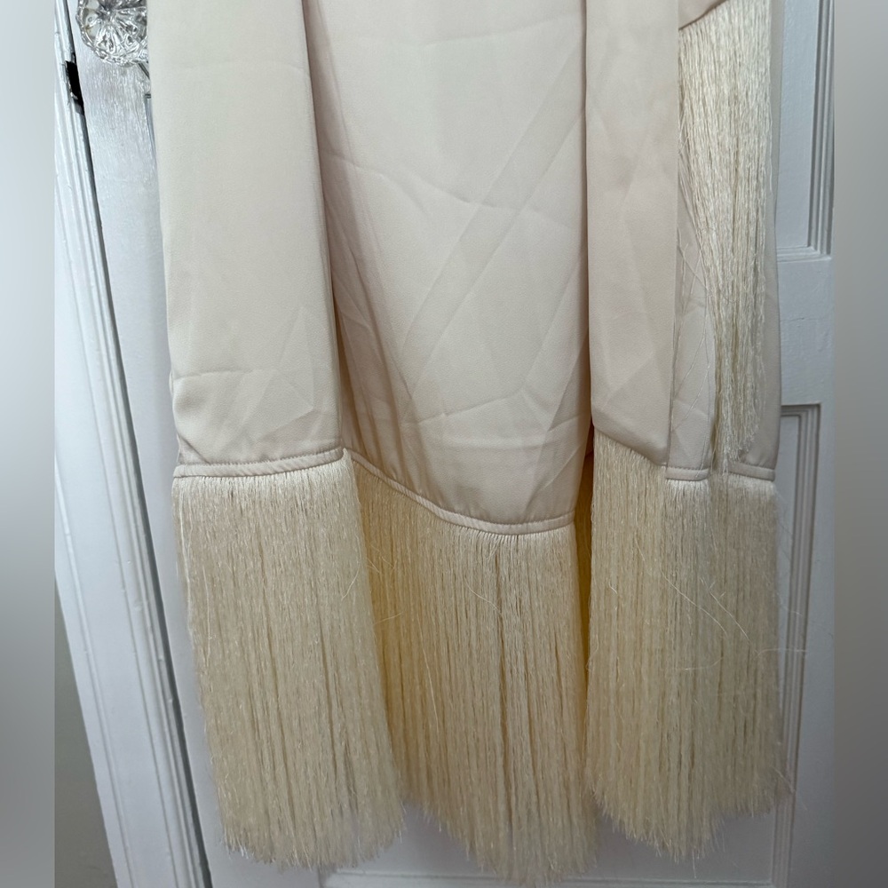 MOTF | NWT Belted Satin Fringe-Hem Dress - Picture 7 of 10